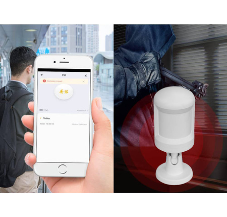 Inteligentna Czujka Ruchu PIR Zigbee Tuya EUROLOOK TU-002-Z-S